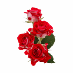 e1