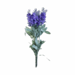 e7