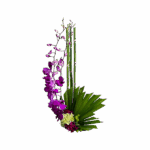 e8